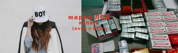 хмурый Кодинск