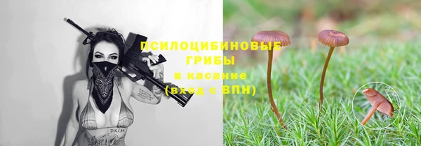 хмурый Кодинск