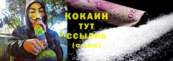 хмурый Кодинск