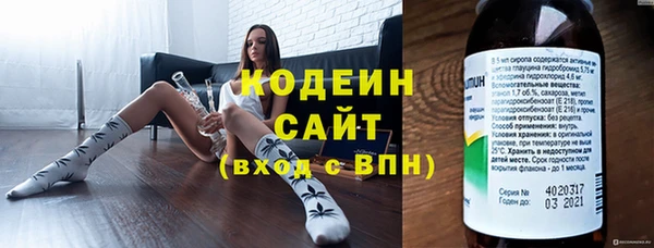 хмурый Кодинск